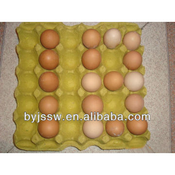 Recycle Paper Egg Tray Factory